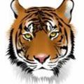 avatar for tigerandflow