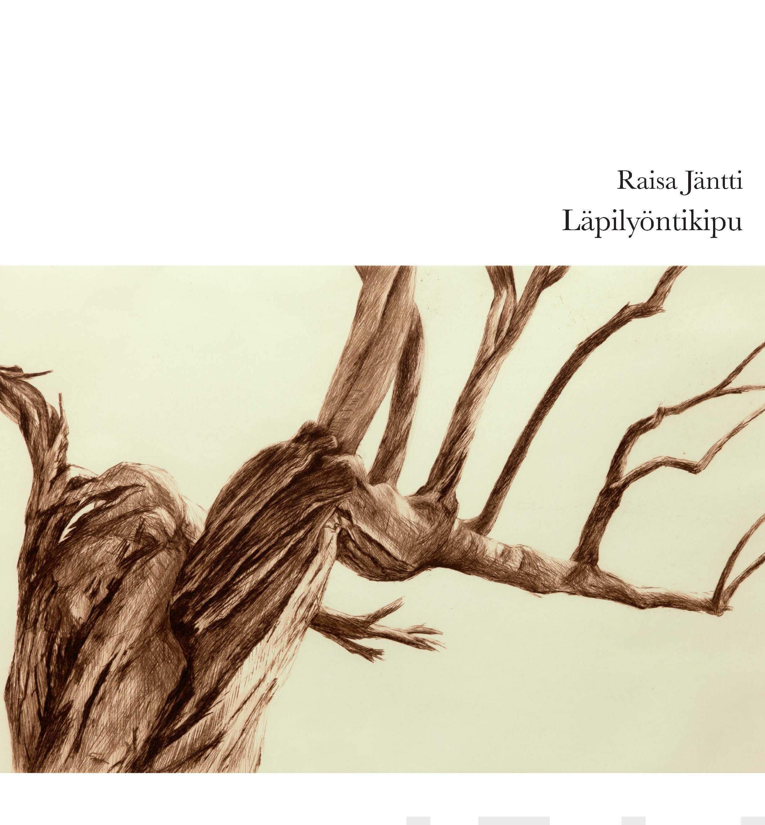 Raisa Jäntti: Läpilyöntikipu (Paperback, Kaarinan kaupunki)