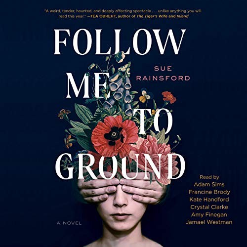 Sue Rainsford: Follow Me to Ground (AudiobookFormat, 2020, Simon & Schuster Audio and Blackstone Publishing)