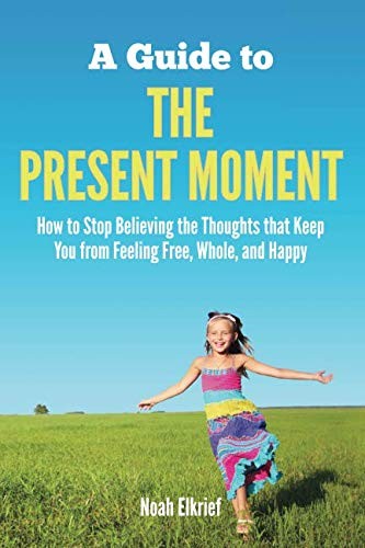 Noah Elkrief: A Guide to The Present Moment (Paperback, 2012, Noah Elkrief)