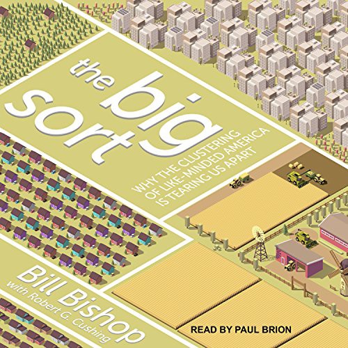 Bill Bishop, Robert G. Cushing, Paul Brion: The Big Sort (AudiobookFormat, 2017, Tantor Audio)